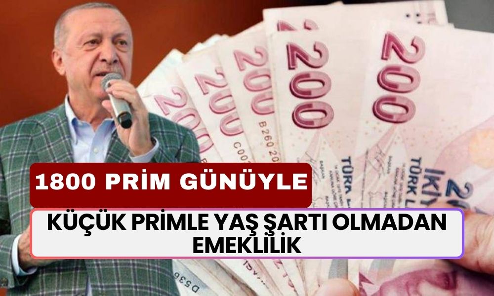 Küçük Primle Yaş Şartı Olmadan Emeklilik Fırsatı! 1800 Gün Artık Emeklilik İçin Yeterli