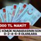 Yapı Kredi TC Kimlik Numarasının Sonu 0-2-4-6-8 Olanların Hesaplarına Trink 20.000 TL Yatıracak