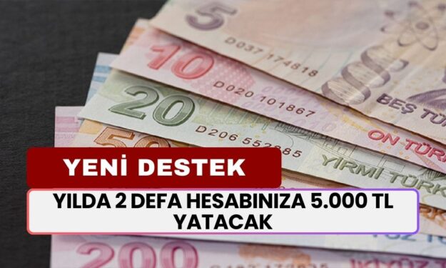 6 Ayda Bir Hesabınıza 5.000 TL Yatırılacak! Karar Açıklandı