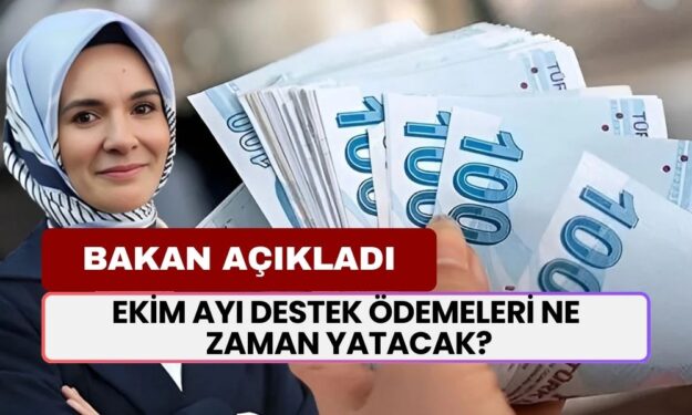 Aile Bakanı Mahinur Göktaş Açıkladı! Ekim Ayı Destek Ödemeleri Ne Zaman Yatacak?