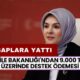 Aile Bakanlığı'ndan 9.000 TL Üzerinde Destek Ödemesi! Hesaplara Yattı