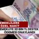 Emekliye GÜZEL HABER! TC Kimlikle 30 bin TL Destek Ödemesi Onaylandı