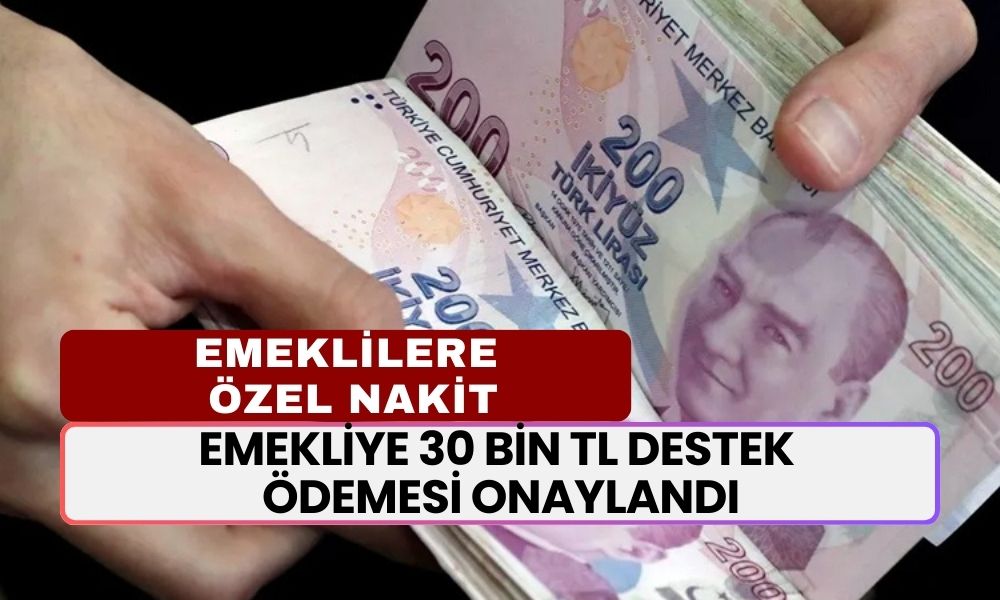 Emekliye GÜZEL HABER! TC Kimlikle 30 bin TL Destek Ödemesi Onaylandı