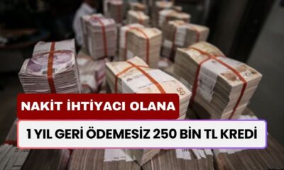 1 Yıl Geri Ödemesiz Kredi! Nakit İhtiyacı Olana 250.000 TL Ödeme