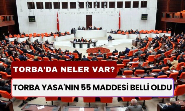 Torba Yasa'nın 55 Maddesi Belli Oldu! 3600 Ek Gösterge, Taşerona Kadro, BAĞKUR Prim İndirimi ve Daha Fazlası...