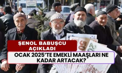 Ocak 2025’te Emekli Maaşları Ne Kadar Olacak? Prof. Dr. Şenol Babuşcu Açıkladı