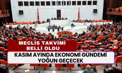 Kasım Ayında Ekonomi Gündemi Yoğun Geçecek! Meclis'in Gündeminde Neler Var?