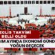 Kasım Ayında Ekonomi Gündemi Yoğun Geçecek! Meclis'in Gündeminde Neler Var?