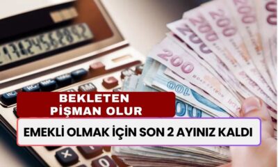 Emekli Olmak İçin Son 2 Ayınız Kaldı! Bekletenler Hiç Emekli Olmasaydım Diyecek