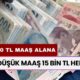 12.500 TL Maaş Alan Emeklilere: En Düşük Maaş 15 Bin TL Hedefi