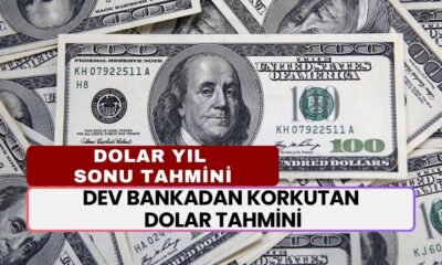 Dev bankadan korkutan dolar tahmini