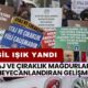 Staj ve Çıraklık Mağdurlarını Heyecanlandıran Gelişme! Çözüm İçin İlk Adım Atılıyor