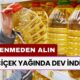 Ayçiçek Yağında Dev İndirim: Fiyatı 169 TL'ye Düştü! Tükenmeden Alın