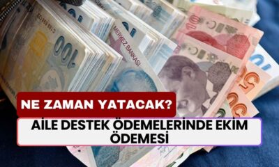 Aile Destek Ödemelerinde Ekim Ödemesi! Ne Zaman Yatacak?