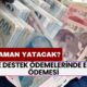 Aile Destek Ödemelerinde Ekim Ödemesi! Ne Zaman Yatacak?