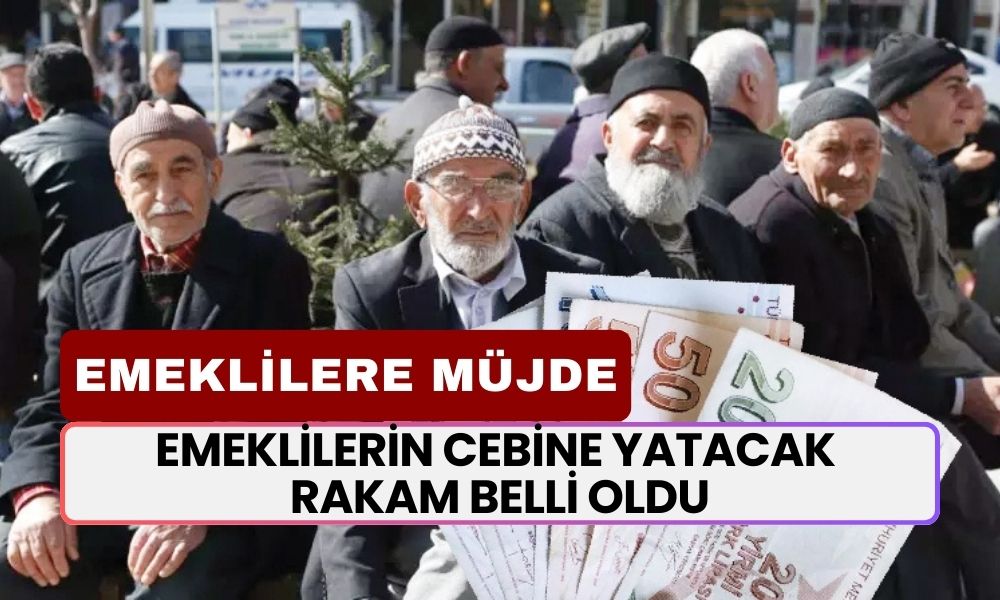 Emeklilerin Cebine Yatacak Rakam Belli Oldu! Başvuran Tüm Emeklilere 44.000 TL Verilecek