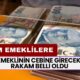 Emeklinin Cebine Girecek Rakam Belli Oldu! 10-24 Bin TL Arası Ödeme Yapılacak! SSK, BAĞKUR, 4C Emeklilerine...