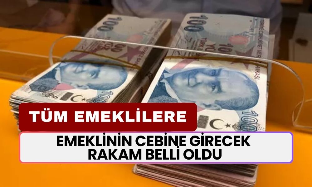 Emeklinin Cebine Girecek Rakam Belli Oldu! 10-24 Bin TL Arası Ödeme Yapılacak! SSK, BAĞKUR, 4C Emeklilerine...