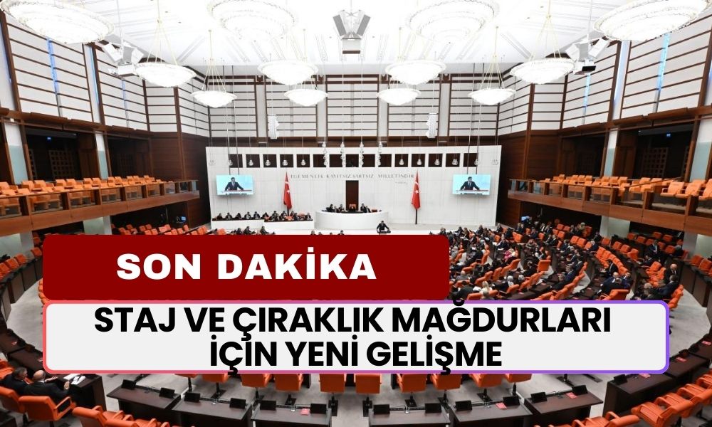 Staj ve Çıraklık Mağdurları İçin YENİ GELİŞME! Mağduriyet Son Buluyor