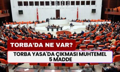 Torba Yasa'da Milyonları Etkileyecek 5 Madde! 3600 Ek Gösterge, Bağkur Prim İndirimi, Taşerona Kadro...