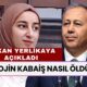 Rojin Kabaiş Nasıl Öldü? İçişleri Bakanı Ali Yerlikaya Açıkladı