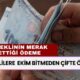 Emeklilere Sevindirici Haber Saat 16.50'de Geldi! Ekim Bitmeden Çifte Ödemeler Hesapta Olacak