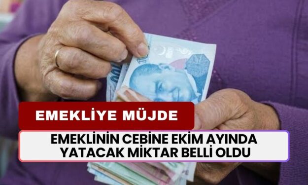 Emeklinin Cebine Ekim Ayında Yatacak Miktar Belli Oldu! Tüm Emeklilere 10.000 TL Ödeme