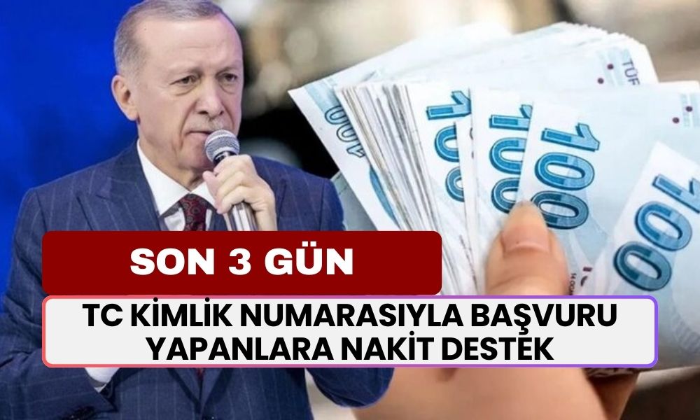 SON 3 GÜN! TC Kimlik Numarasıyla Başvuru Yapanlar Nakit Destek Verilecek