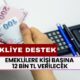 Emeklilere Kişi Başına 12 Bin TL Verilecek! Hemen Başvurun, Hesaplara Yatıyor