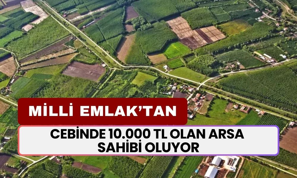 Cebinde 10.000 TL Olan Arsa Sahibi Oluyor! Milli Emlak'tan Kelepir Tarla Satışı