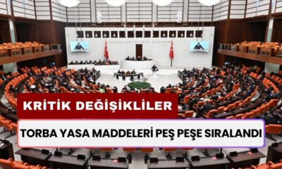 Torba Yasa Maddeleri Peş Peşe Sıralandı! 100 Bin Taşerona Kadro, 3600 Ek Gösterge, Ev Hanımlarına Emeklilik