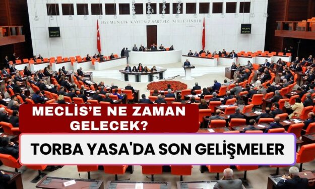 Torba Yasa'da SON GELİŞMELER: Meclis'e Ne Zaman Gelecek? 3600 Ek Gösterge ve Bağkur 7200