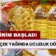 Ayçiçek Yağı Fiyatları Çakıldı! A101, ŞOK, Migros, CarrefourSA İndirimi! 57 TL'ye Düştü