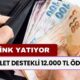 12.000 TL Hesaplara Yatıyor! Devlet Destekli Ödeme Trink Yatıyor