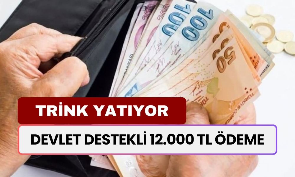 12.000 TL Hesaplara Yatıyor! Devlet Destekli Ödeme Trink Yatıyor