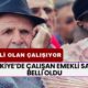 Çalışan Emekli Sayısı Gün Geçtikçe Artıyor! Türkiye'de Çalışan Emekli Sayısı Açıklandı